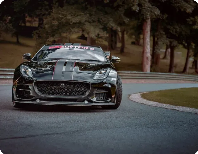 Performance car with ECU remapping branding